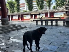 -长春观
