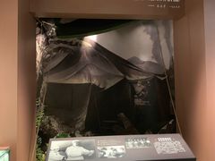 -上海市龙华烈士陵园