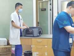 -联合动物医院(光谷诊疗中心)