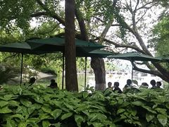 -星巴克(西湖天地店)