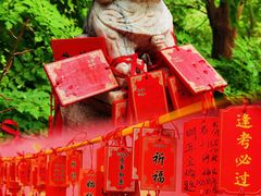 -龙庆峡风景区