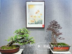 -广州文化公园