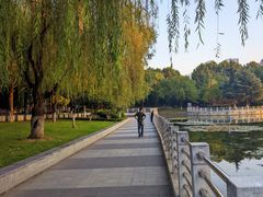 -后襄河公园