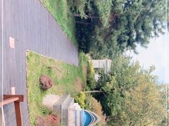 -山东外贸职业学院