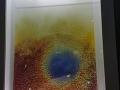 -贝壳王国博物馆