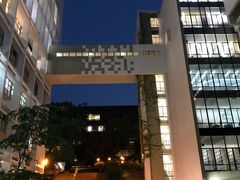 -香港大学