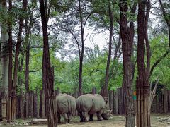 -北京野生动物园