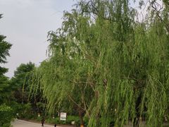 -康庄公园