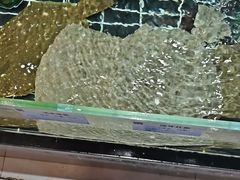 -宏运厨房·海鲜青岛菜·生日宴(城市阳台店)