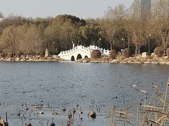 -长春市南湖公园