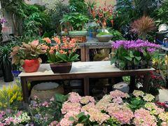 -双季花艺园艺市场(浦东店)