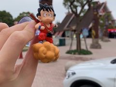 -野生动物园-停车场