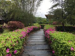 -庐山天沐温泉度假村