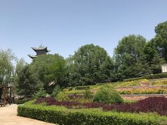 -兰山公园