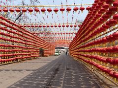 -北京凤凰岭