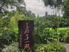 -桂湖森林公园