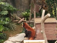 -香港海洋公园