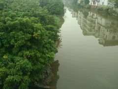 -小洲村