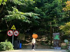 -上海佘山国家森林公园天马山园