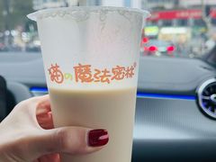 -猫的魔法密林(衣裳街店)