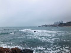 -青岛海景花园大酒店·白果树餐厅青岛菜