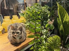 -格蕾花坊(民盈·国贸城店)