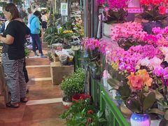 -朝来春花卉市场