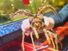 -巽寮印象美食部落餐厅·海鲜·地方特色菜(惠州体验店)