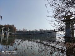 -东湖落雁景区