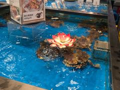 -盒马鲜生(丁香国际店)