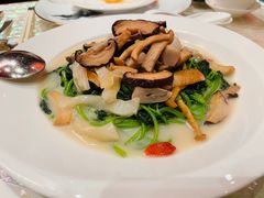 -8餐厅(新葡京酒店)