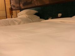 -天津津利华酒店