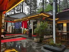 -小小饭店·休闲农庄·安吉松树林里的农家菜