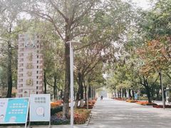 -青枫公园