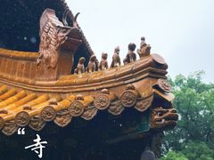 -普陀山风景名胜区-法雨禅寺