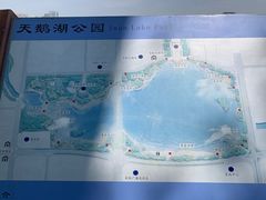 -合肥大剧院