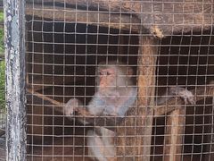 -武汉紫薇都市田园