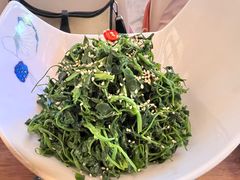 -靖远尕六美味羊羔肉