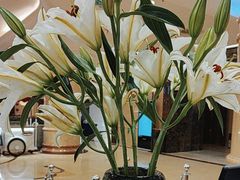 -北京广安门维景国际大酒店