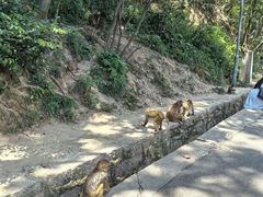 -黔灵山公园