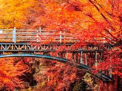 -光雾山旅游景区