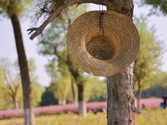 -汉长安城未央宫国家考古遗址公园