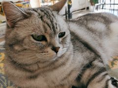 -平行世界·猫咖(首经贸店)