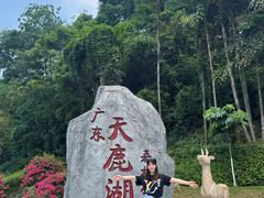 -天鹿湖森林公园