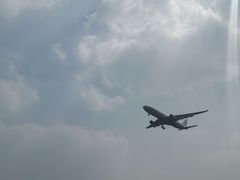 -空港花田景区