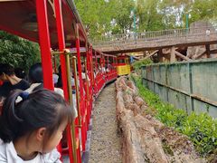 -横店影视城梦幻谷园区