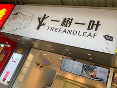 门面-一树一叶·福建茶档(石鼓路店)