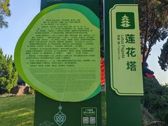 -广州莲花山旅游区