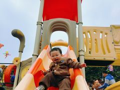 -铁山坪森林公园