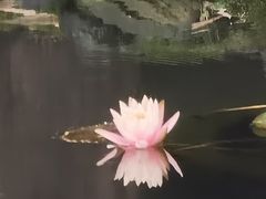 -望江楼公园